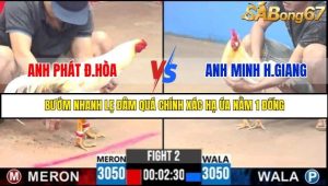 Trận 2 Bồ Gà C3 Ngày 27/7/2025
