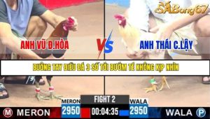 Trận 2 Bồ Gà C3 Ngày 30/7/2025