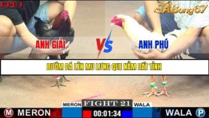 Trận 21 Bồ Gà C1 1/7/2025