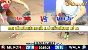 Trận 21 Bồ Gà C1 Ngày 5/7/2025