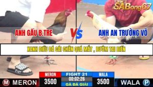 Trận 21 Bồ Gà C3 6/7/2025