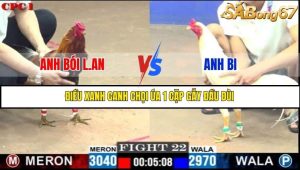 Trận 22 Bồ Gà C1 1/7/2025