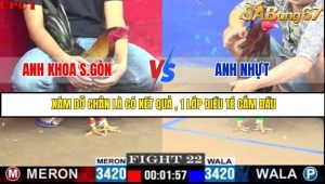 Trận 22 Bồ Gà C1 Ngày 31/7/2025