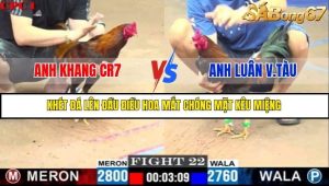 Trận 22 Bồ Gà C1 Ngày 5/7/2025