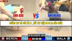 Trận 23 Bồ Gà C1 1/7/2025