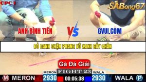 Trận 23 Bồ Gà C1 Ngày 10/7/2025