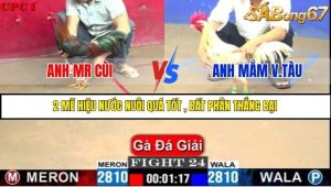 Trận 24 Bồ Gà C1 Ngày 10/7/2025