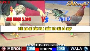 Trận 24 Bồ Gà C1 Ngày 31/7/2025
