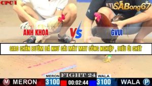 Trận 24 Bồ Gà C1 Ngày 5/7/2025