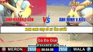 Trận 25 Bồ Gà C1 Ngày 10/7/2025