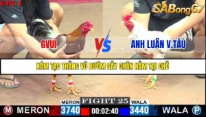 Trận 25 Bồ Gà C1 Ngày 5/7/2025
