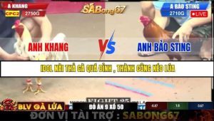 Trận 25 Bồ Gà C2 2/7/2025
