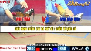 Trận 26 Bồ Gà C1 Ngày 5/7/2025