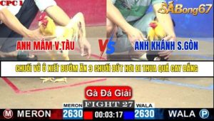 Trận 27 Bồ Gà C1 Ngày 10/7/2025