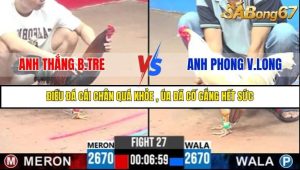 Trận 27 Bồ Gà C3 Ngày 31/7/2025