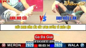 Trận 28 Bồ Gà C1 Ngày 10/7/2025