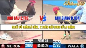 Trận 28 Bồ Gà C3 Ngày 31/7/2025