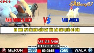 Trận 29 Bồ Gà C1 Ngày 10/7/2025