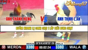 Trận 3 Bồ Gà C1 Ngày 31/7/2025