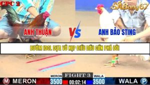 Trận 3 Bồ Gà C2 Ngày 27/7/2025