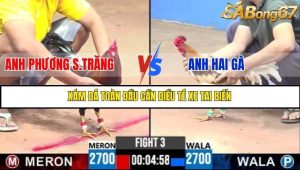 Trận 3 Bồ Gà C3 1/7/2025
