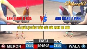 Trận 3 Bồ Gà C3 Ngày 27/7/2025