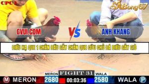 Trận 31 Bồ Gà C1 Ngày 24/7/2025