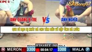 Trận 32 Bồ Gà C1 1/7/2025