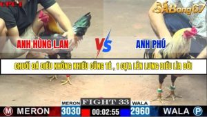 Trận 33 Bồ Gà C1 1/7/2025