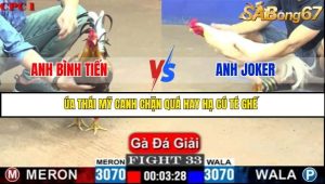 Trận 33 Bồ Gà C1 Ngày 10/7/2025
