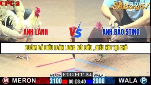 Trận 34 Bồ Gà C2 2/7/2025