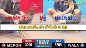 Trận 35 Bồ Gà C3 6/7/2025