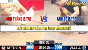 Trận 35 Bồ Gà C3 Ngày 17/7/2025