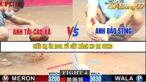 Trận 4 Bồ Gà C2 2/7/2025