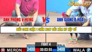 Trận 4 Bồ Gà C3 Ngày 31/7/2025