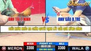 Trận 41 Bồ Gà C3 6/7/2025