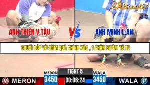 Trận 5 Bồ Gà C3 Ngày 31/7/2025