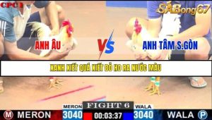 Trận 6 Bồ Gà C1 1/7/2025