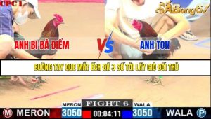 Trận 6 Bồ Gà C1 Ngày 31/7/2025