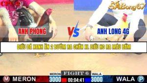 Trận 6 Bồ Gà C2 Ngày 30/7/2025