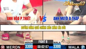 Trận 6 Bồ Gà C3 Ngày 30/7/2025