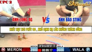 Trận 7 Bồ Gà C2 Ngày 16/7/2025