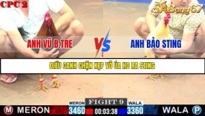 Trận 9 Bồ Gà C2 Ngày 16/7/2025