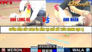Trận 9 Bồ Gà C2 Ngày 30/7/2025