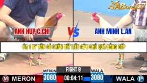 Trận 9 Bồ Gà C3 Ngày 30/7/2025