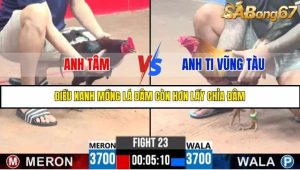 Trận 23 Bồ Gà C3 Ngày 4/8/2025