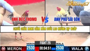 Trận 25 Bồ Gà C3 Ngày 4/8/2025