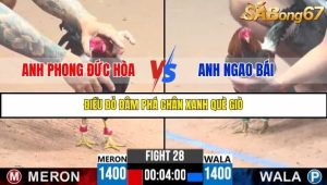 Trận 28 Bồ Gà C3 Ngày 4/8/2025