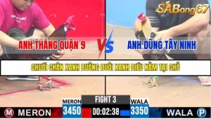 Trận 3 Bồ Gà C3 Ngày 4/8/2025
