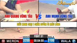 Trận 31 Bồ Gà C3 Ngày 4/8/2025